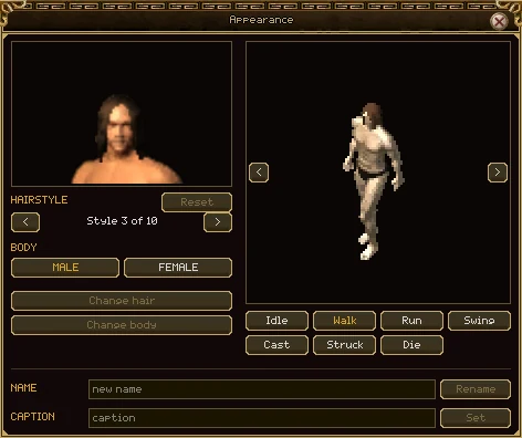 The Appearance window: a close-up of the character's head and hair, style 3 of 10 between two arrows, Male and Female buttons, Change hair and Change body; beside them the whole character with nothing on, walking, with turn arrows and buttons for Idle, Walk, Run, Swing, Cast, Struck and Die; then a box for a new name with Rename and a box for a caption with Set.