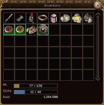 The bag window: a grid of item cells with a sword, armour, a helmet, rings, ores and gems, and under it the weight, slots and gold lines.