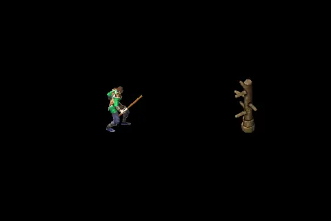 A new taoist using Elemental Superiority on a training target, on black.