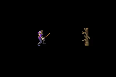 A new taoist using Mass Invisibility on a training target, on black.