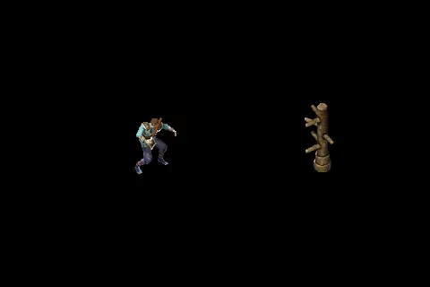A new taoist using Thunder Kick on a training target, on black.